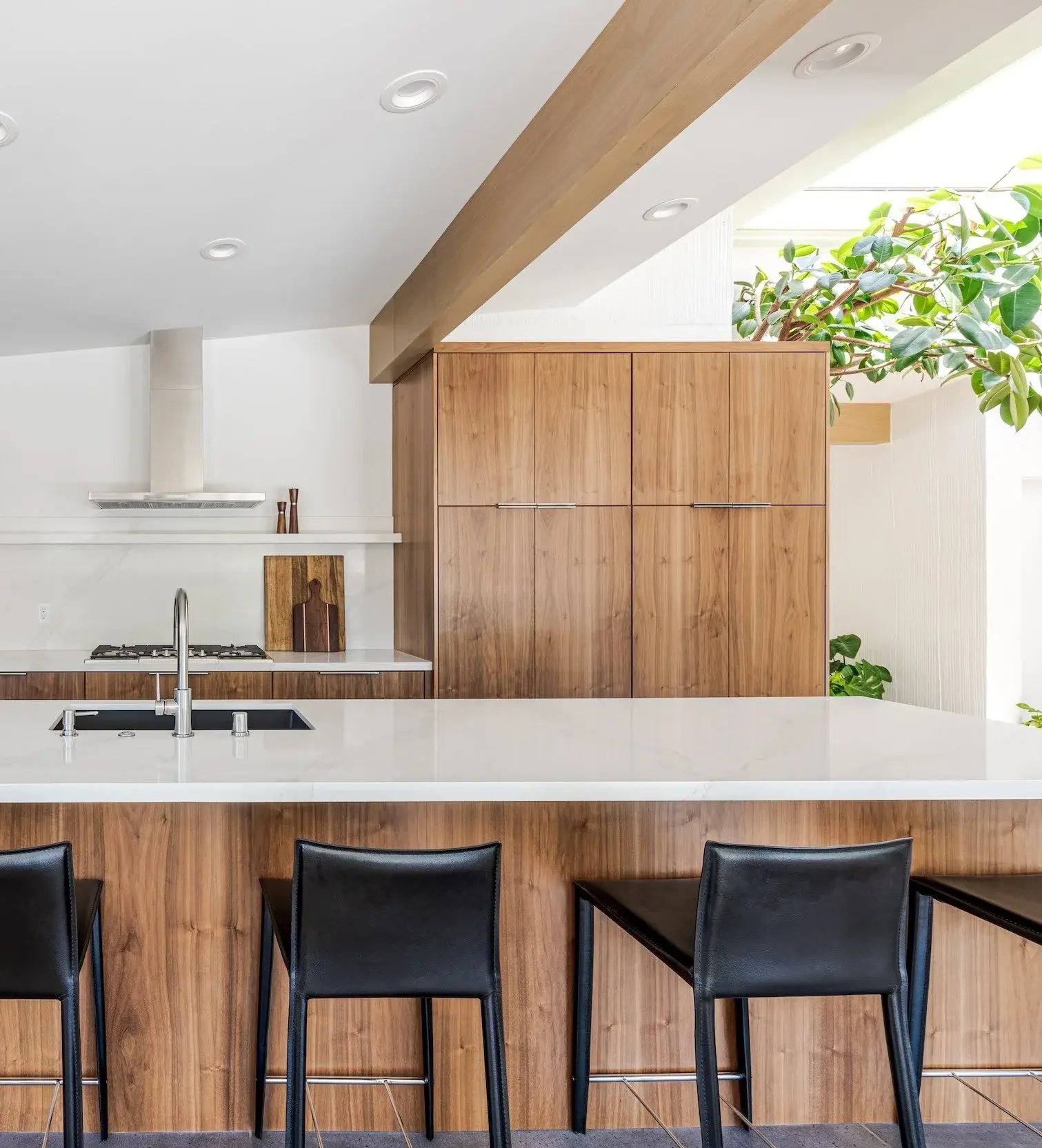 Cropped+Midcentury+Modern+Kitchen+