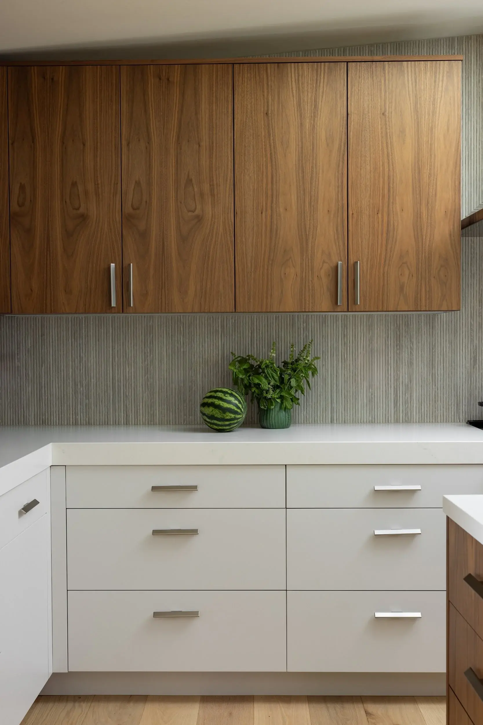 WHITE+AND+WALNUT+CABINETRY-1
